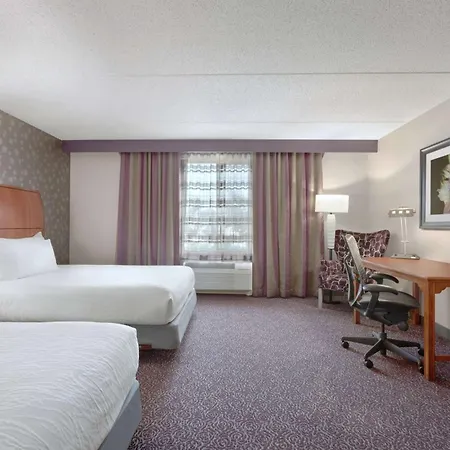 Hilton Garden Inn Springfield, Ma-3