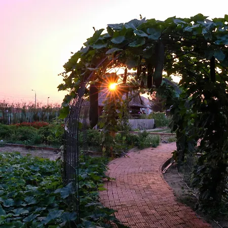 Silk Sense Hoi An River Resort - Green Luxury Escape-2