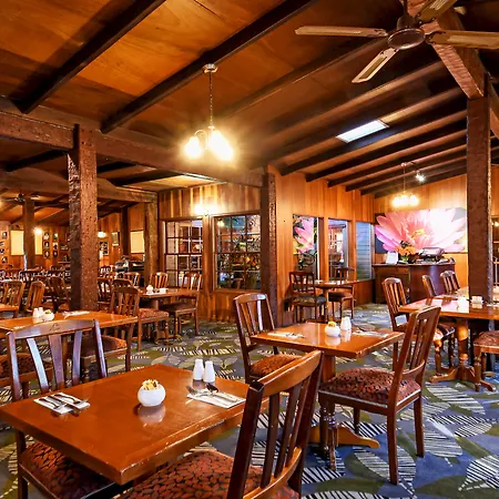 O'Reilly'S Rainforest Retreat-2