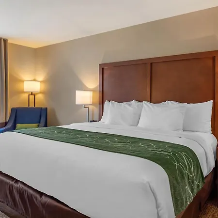 Comfort Inn & Suites Schenectady - Scotia-3