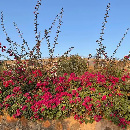 Gondar Hills Resort-3