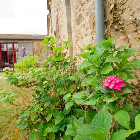 La Belle lurette-3
