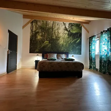 les anthocyanes CHAMBRE FORET-3