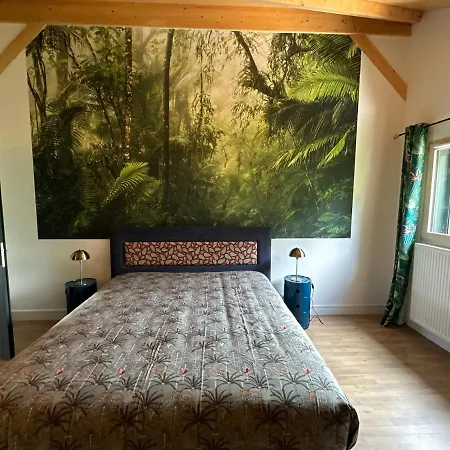 les anthocyanes CHAMBRE FORET-2