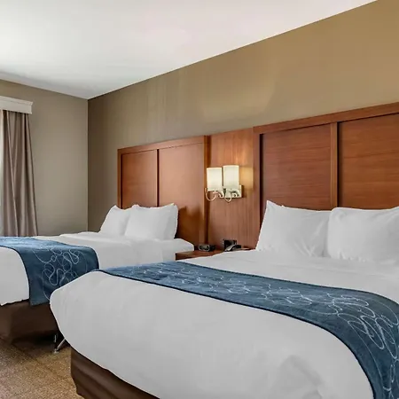 Comfort Suites Buda - Austin South-3