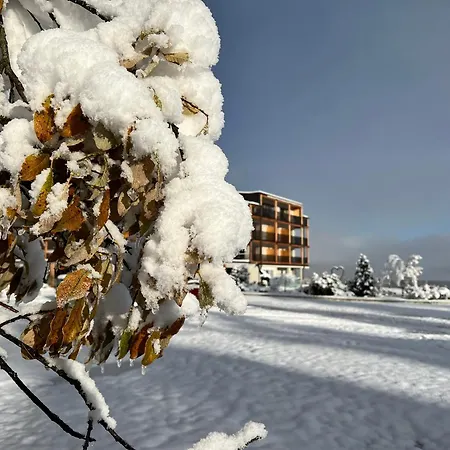Hotel Lech Da Sompunt-3
