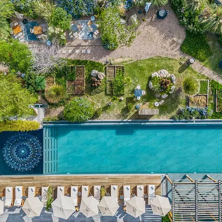 Live Aqua San Miguel De Allende (Adults Only)-2
