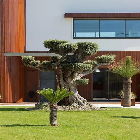 Villa Miramar Frontignan-3