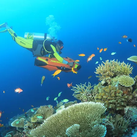You & Me Maldives - Adults Only - Premium All-Inclusive-2