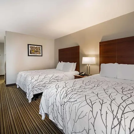 Best Western Park Oasis Inn-2