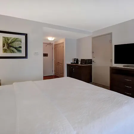 Hilton Garden Inn Fort Myers-3