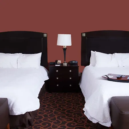 Hampton Inn & Suites Dickinson Nd-3