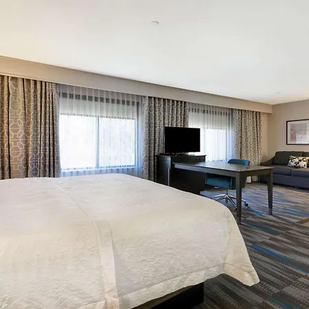 Hampton Inn & Suites Los Angeles Burbank Airport-3