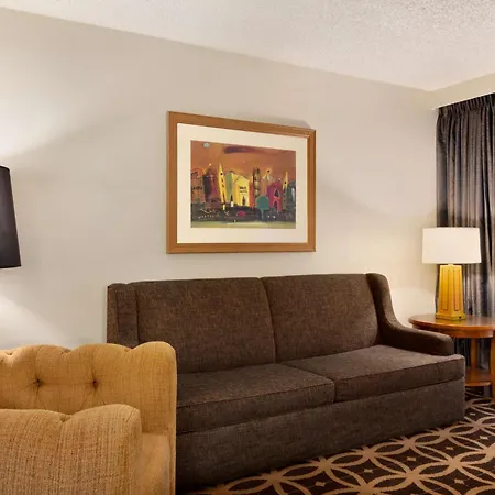 Embassy Suites By Hilton Dallas Dfw Airport South-2