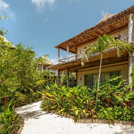 Hotel Shibari - Restaurant & Cenote Club-2