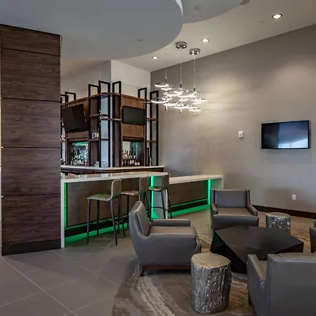 Hilton Garden Inn Dallas At Hurst Conference Center-2