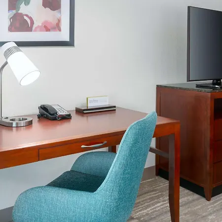 Hilton Garden Inn Tampa Riverview Brandon-2