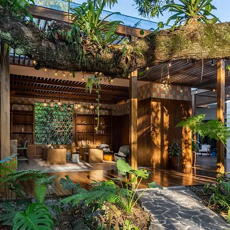 Botanika Osa Peninsula, Curio Collection By Hilton-3