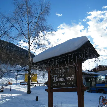 Hotel Biancaneve-2