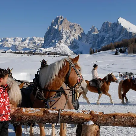 Dolomites Living Hotel Tirler-3