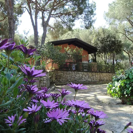 Camping Lacona Pineta-3