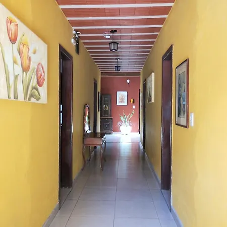 Pousada Recanto do Chalé Ltda-3
