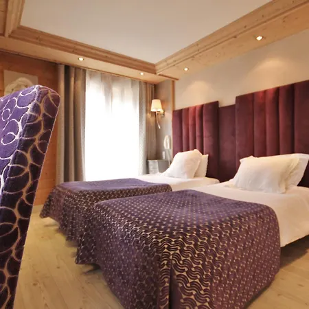 Hôtel Alpina-2