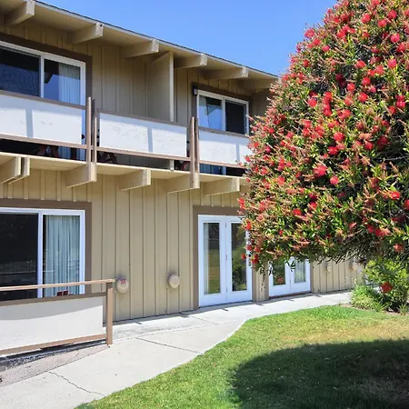 Silver Surf Motel-2