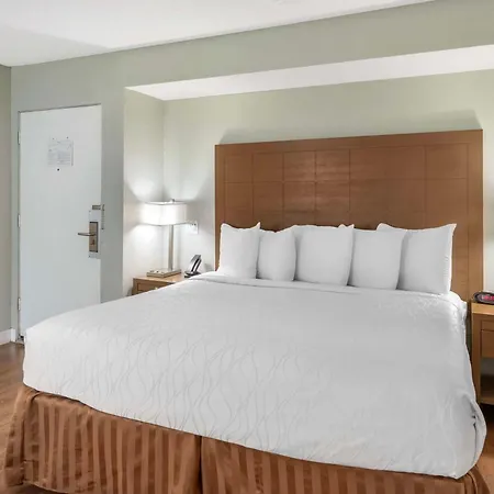 Best Western Inn At Palm Springs-2