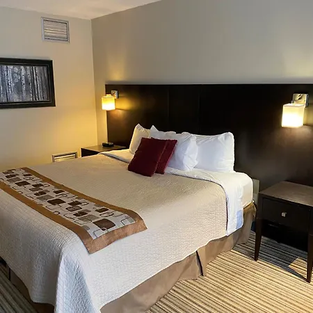 Excelsior Hotel Spa Sainte-Adele-3