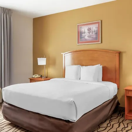 Comfort Inn & Suites Chesapeake - Portsmouth-2