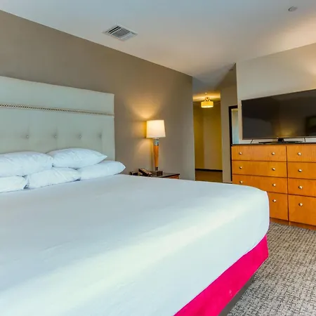 Drury Plaza Hotel San Antonio Riverwalk-3