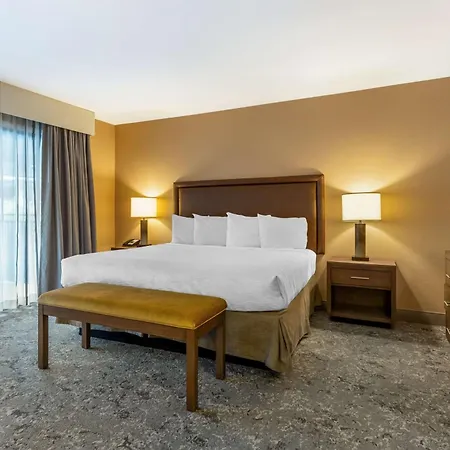 Best Western Plus Inn Scotts Valley-3