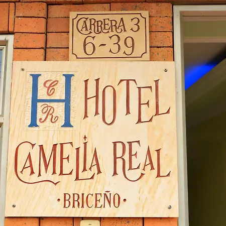 Hotel Camelia Real Briceño-2