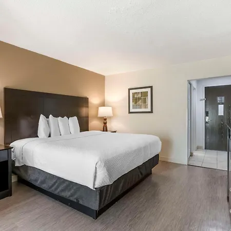 Best Western Suites Columbus-3