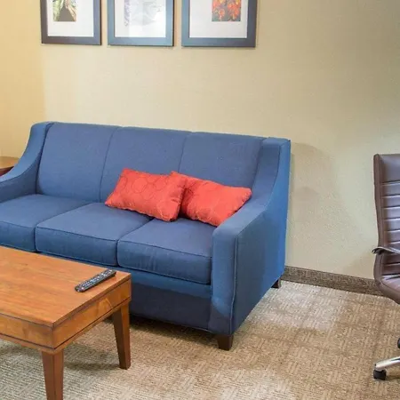 Comfort Inn Dfw Airport North-2