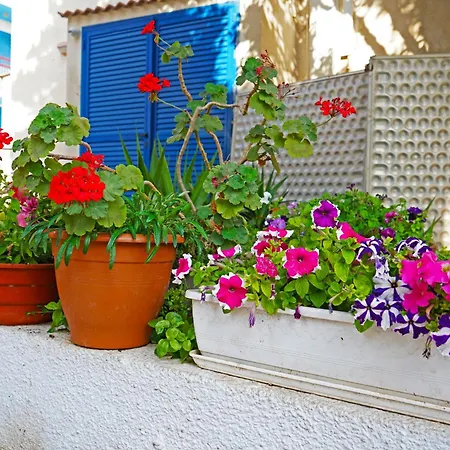 Green Bungalows Hotel Apartments-3