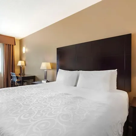 Best Western Plus Peace River Hotel & Suites-3