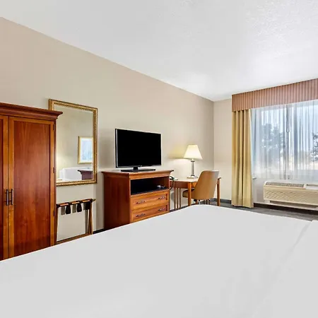 Comfort Inn & Suites I-25 Near Spaceport America-3