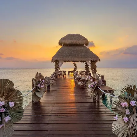 Secrets Aura Cozumel - Adults Only-3