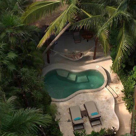 Viceroy Riviera Maya, A Luxury Villa Resort - Adults Only-2