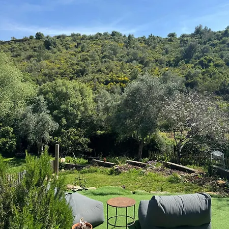 Casas Rio Verde-2