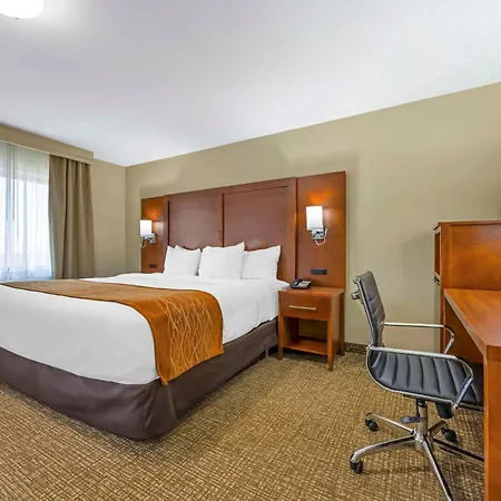 Comfort Inn South - Springfield-3
