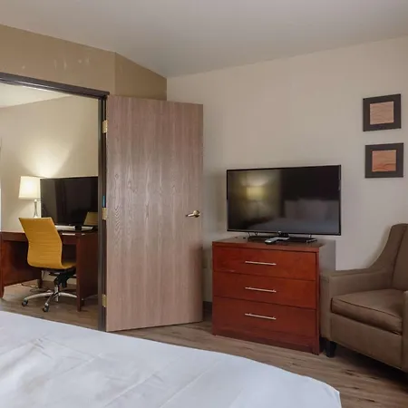 Comfort Inn & Suites Alamosa-3