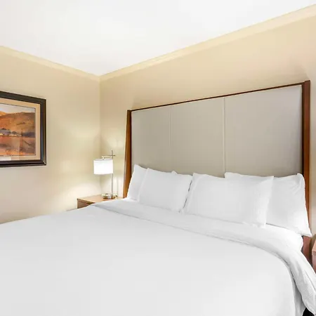 Best Western Plus Cotton Tree Inn-3