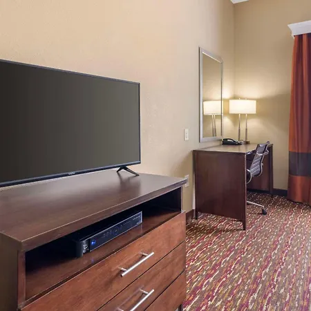 Comfort Inn & Suites Artesia-3