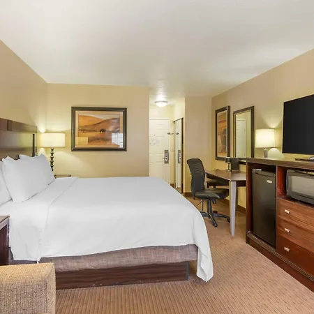 Best Western Plus Cotton Tree Inn-2