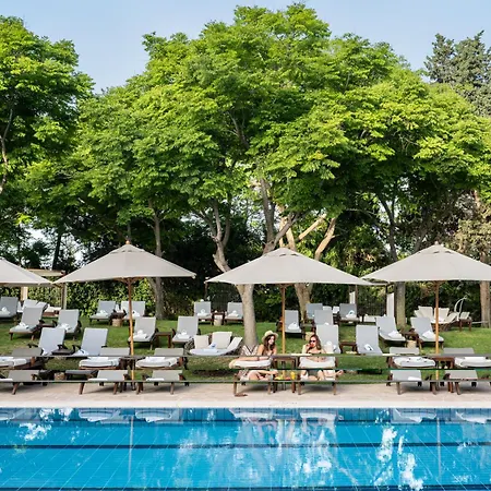 Carmel Forest By Isrotel Exclusive-2