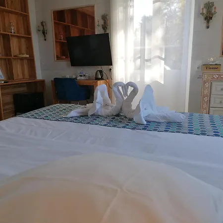 Domaine De La Nerthe- Hotel Provence Mediterranee-3