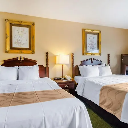 Precious Hotel-3
